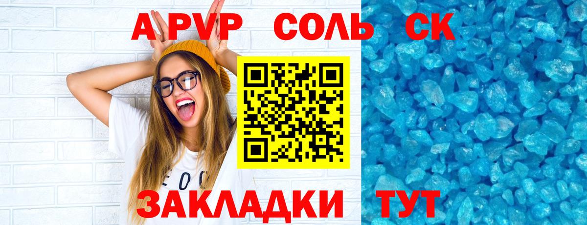 A PVP СК КРИС Новоалександровск