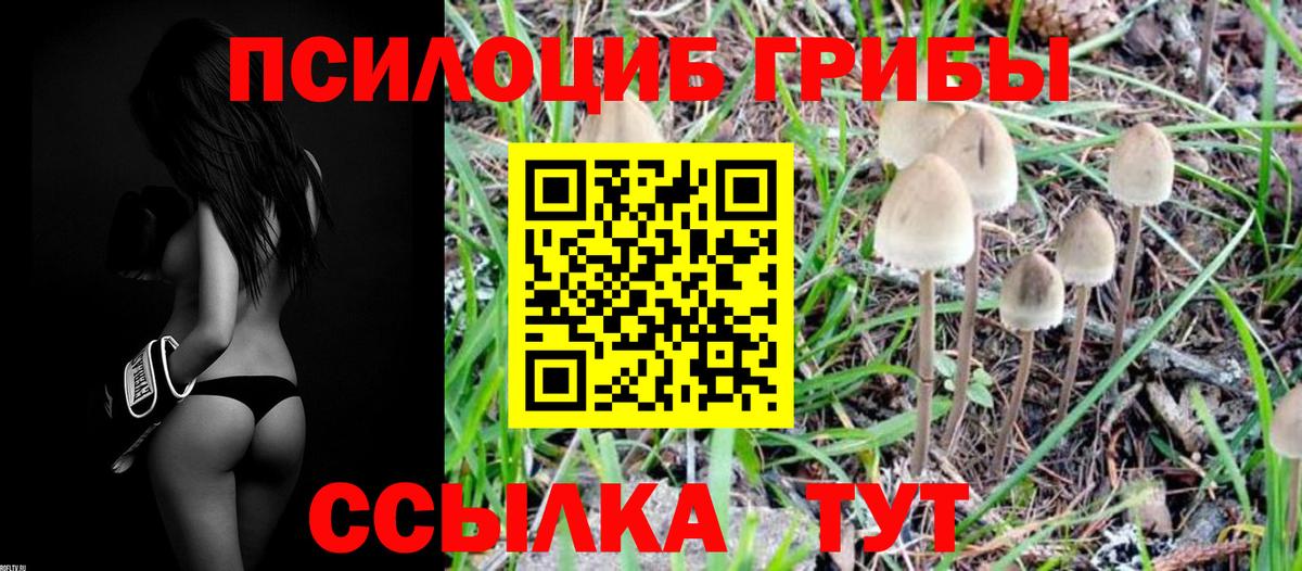 Новоалександровск  Галлюциногенные грибы Magic Shrooms  Галлюциногенные грибы MAGIC MUSHROOMS  магазин  наркотиков  Вход с VPN 